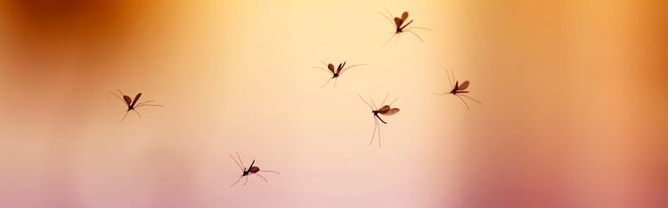 Misting System Parts and Nozzles - Mosquito, Fly, Spider, and Cooling