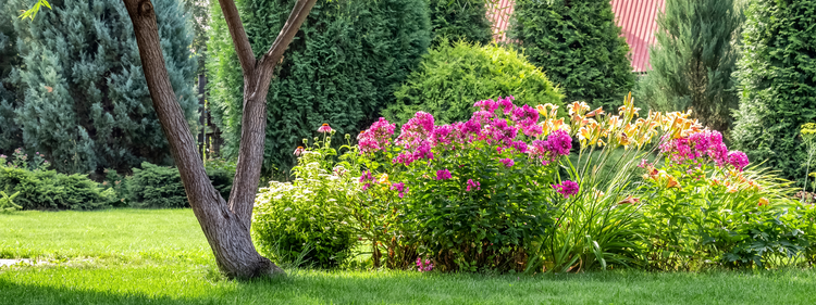 Home & Garden