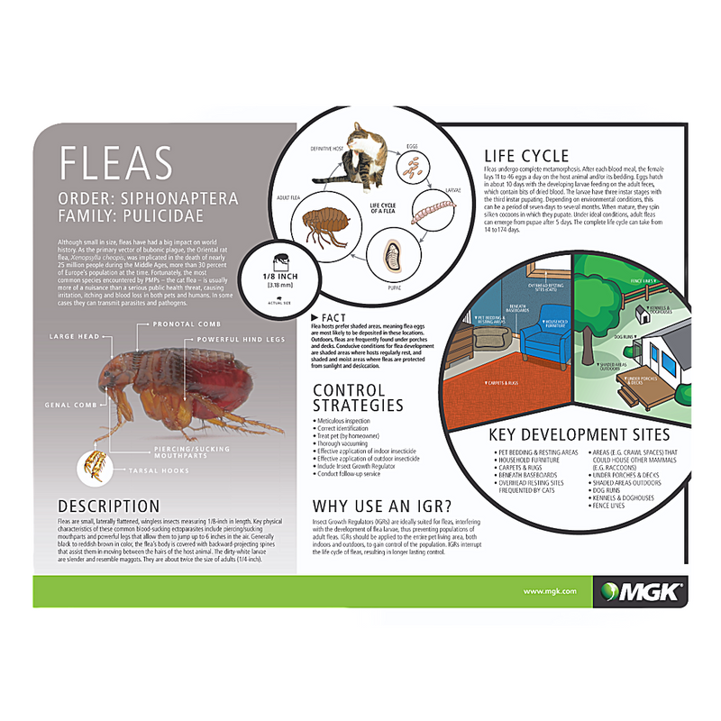 Load image into Gallery viewer, NyGuard Plus Flea & Tick Premise Spray